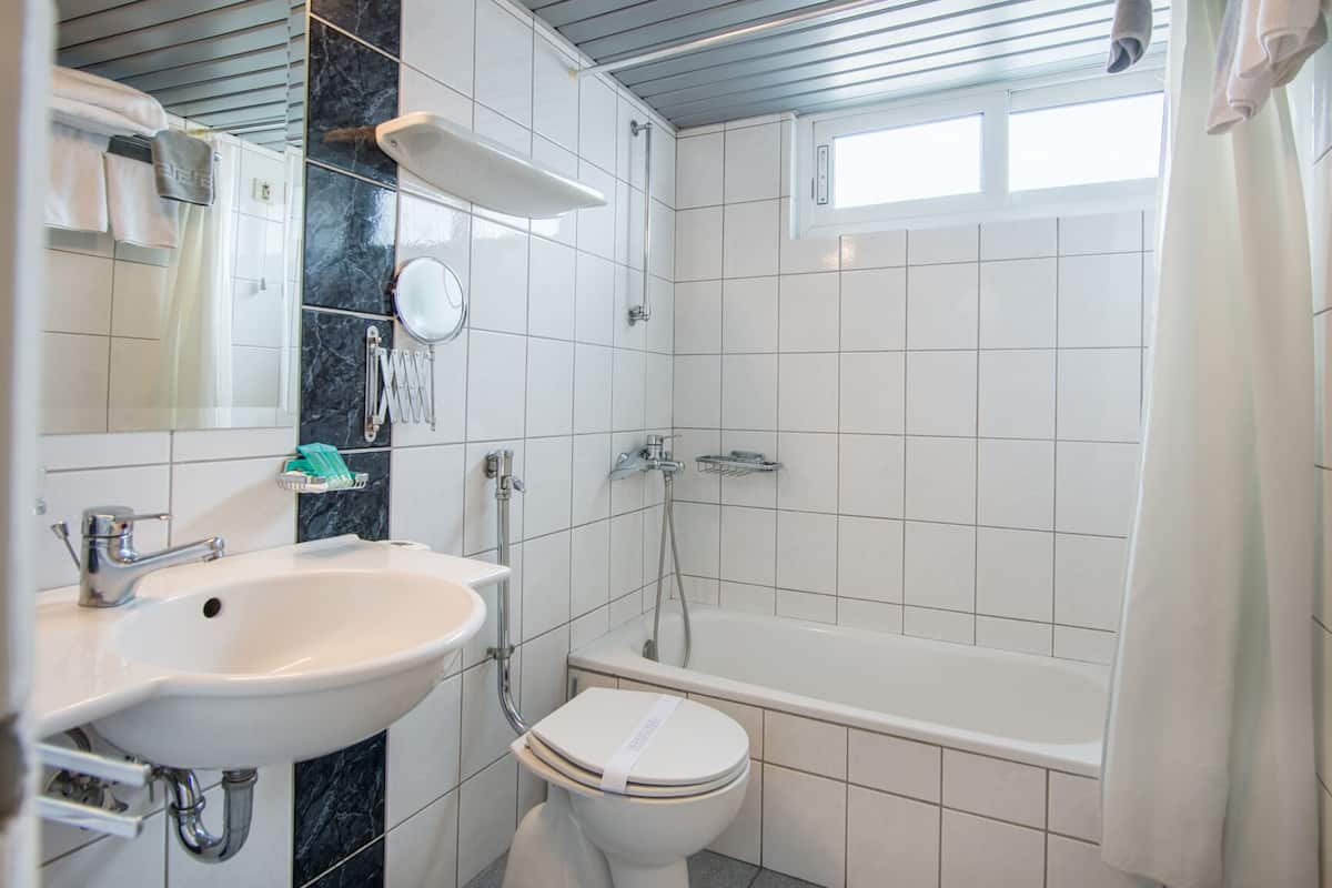 Hydromassage showerhead, hair dryer, towels