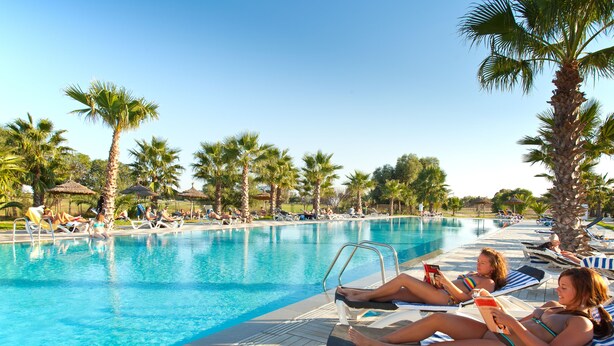 Un área junto a la piscina con sillones de descanso y palmeras.