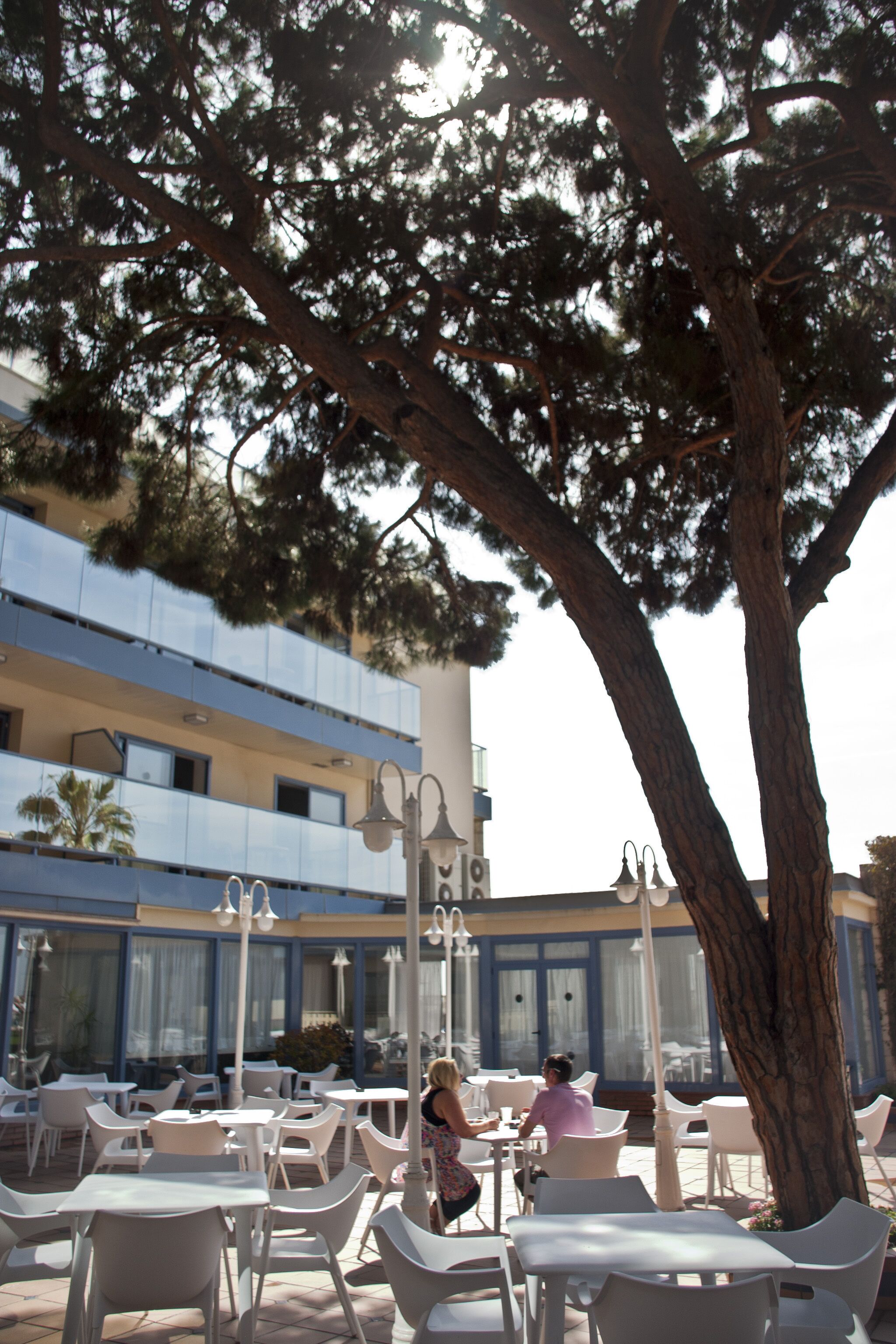 An outdoor cafe area with white plastic chairs and tables, a large tree, and a building with blue and white exterior walls in the background.