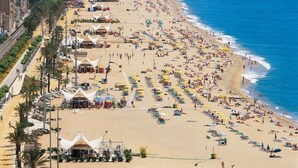 Uma praia com vários guarda-sóis e espreguiçadeiras, céu claro e mar calmo.