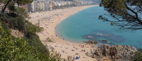 Una spiaggia nelle vicinanze