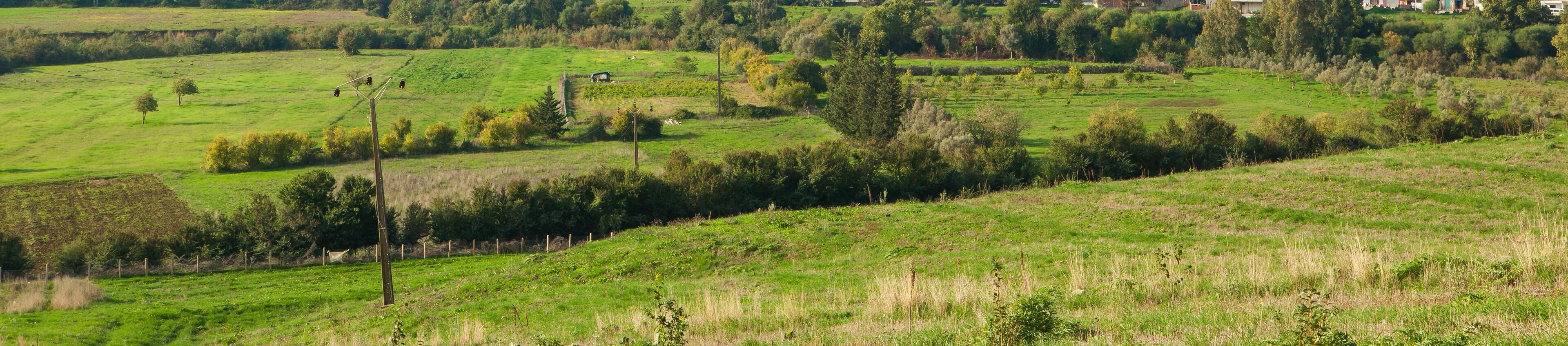 A rural landscape with rolling green fields, scattered trees, and a few buildings in the distance.