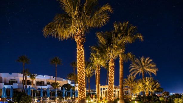 A nighttime view of a resort with palm trees, a paved walkway, and a building with multiple windows.
