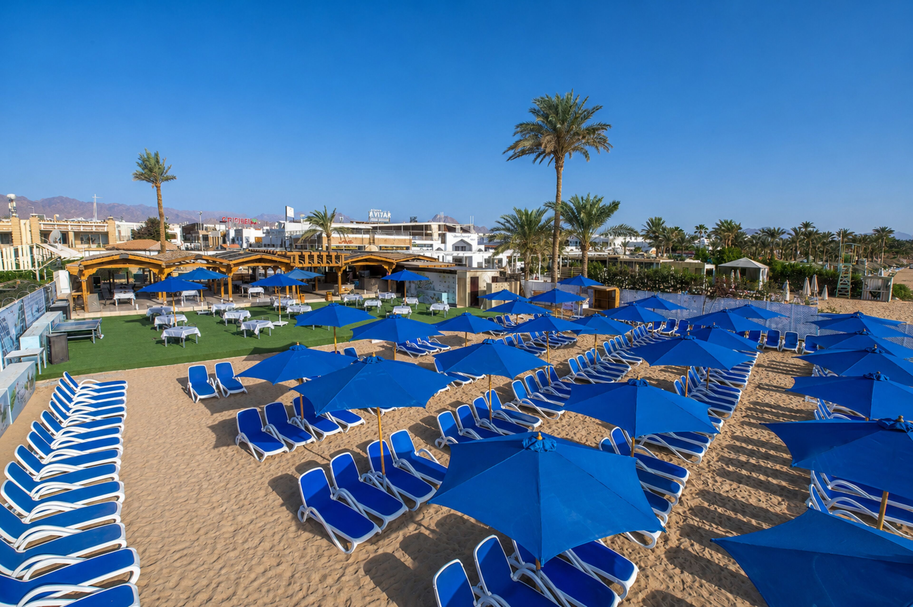 Un complejo turístico en la playa con filas de tumbonas y sombrillas, una zona de piscina y palmeras.