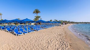 A beach with rows of blue lounge chairs and umbrellas, palm trees, and a clear blue sky.
