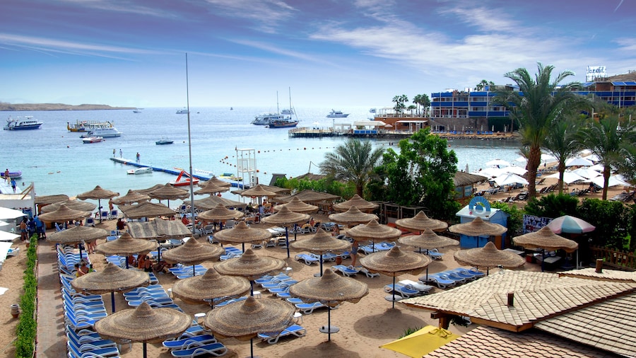 Naama Bay Hotel & Resort