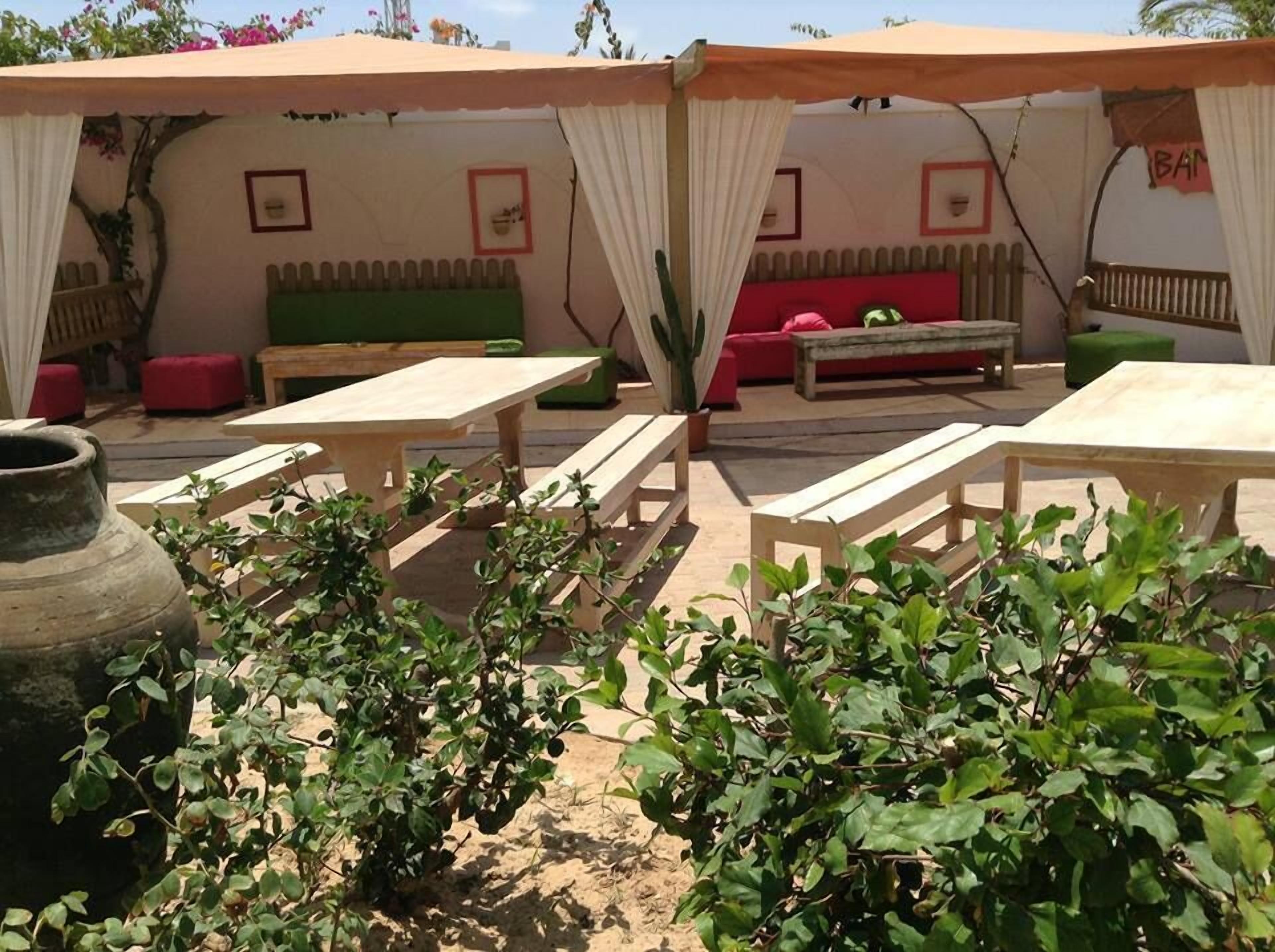 Un área de estar al aire libre con mesas y bancos de madera, un sofá verde y una planta de cactus.
