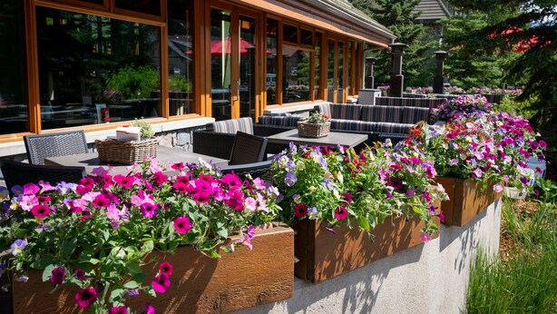 Un espace extérieur aménagé avec des jardinières en bois remplies de fleurs, des tables et des chaises.