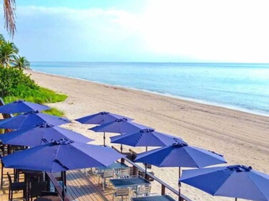 A beachside patio with umbrellas and seating, overlooking the ocean.