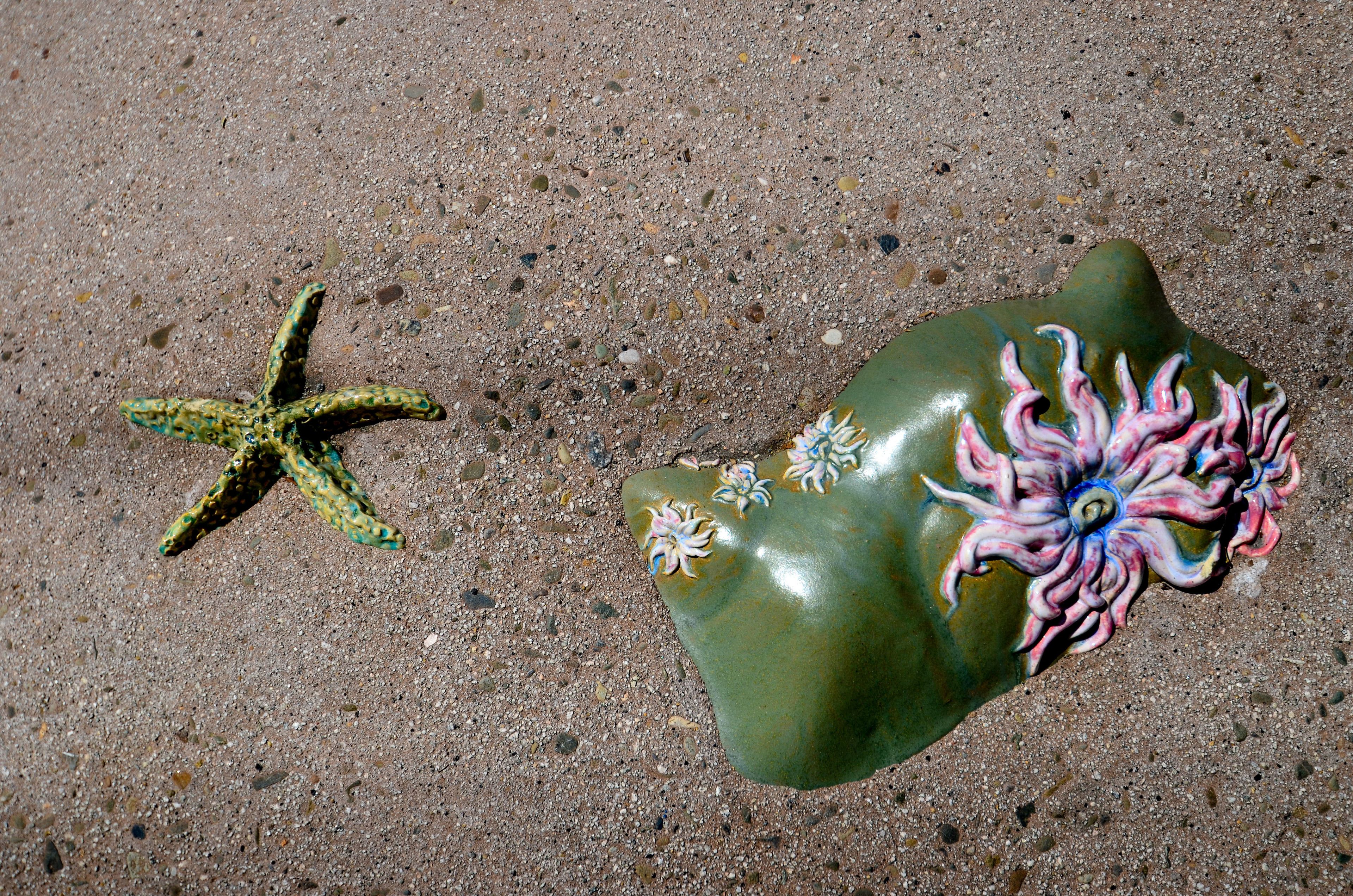 A starfish and a rock with painted flowers on a sandy surface.