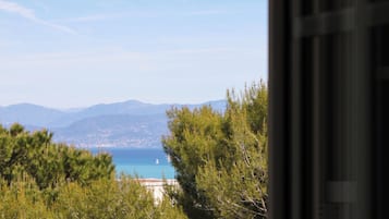 Vista desde la propiedad