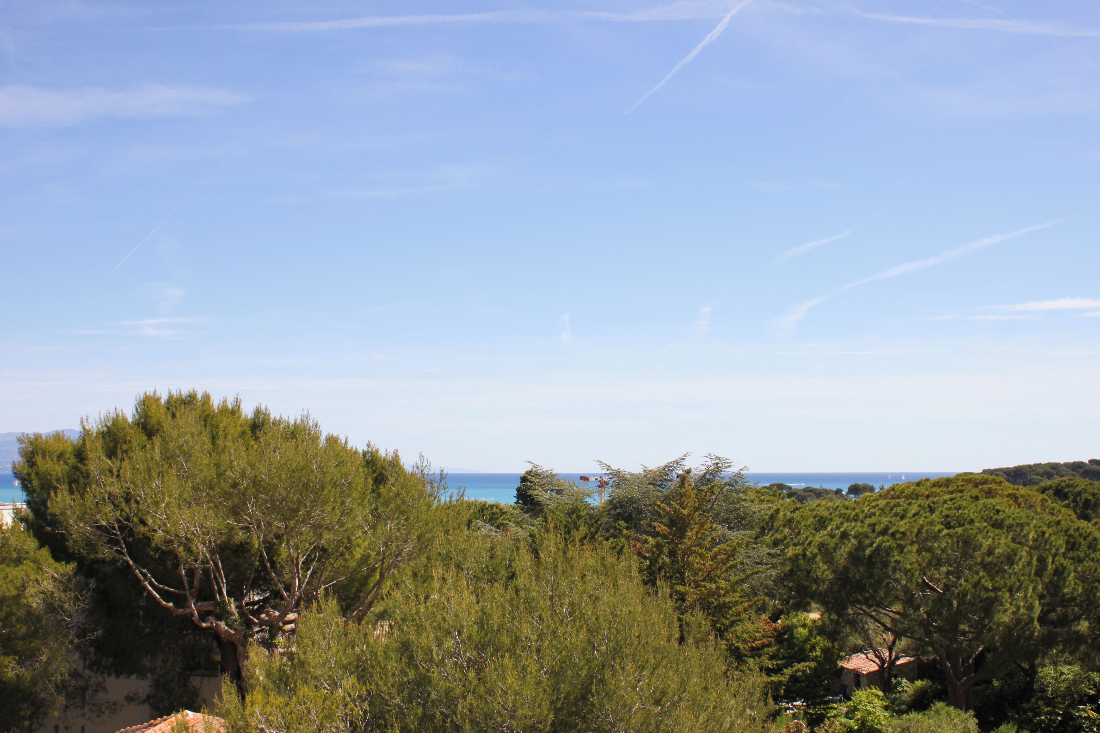 Foto - Hôtel Beau Site - Cap d'Antibes
