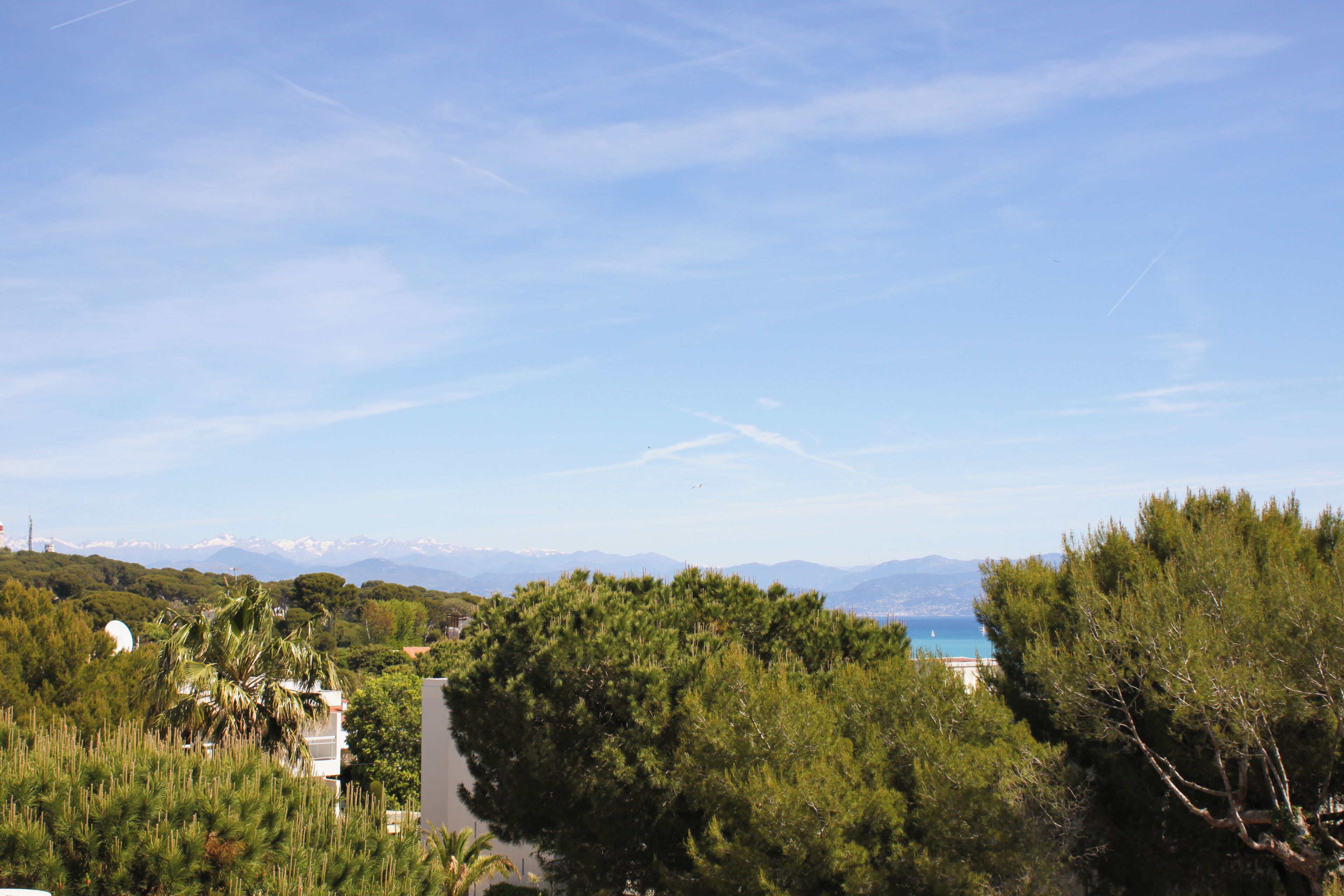 Foto - Hôtel Beau Site - Cap d'Antibes