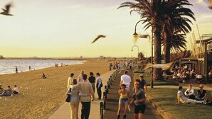 Een strandboulevard met een pad, palmbomen en een strand op de achtergrond.