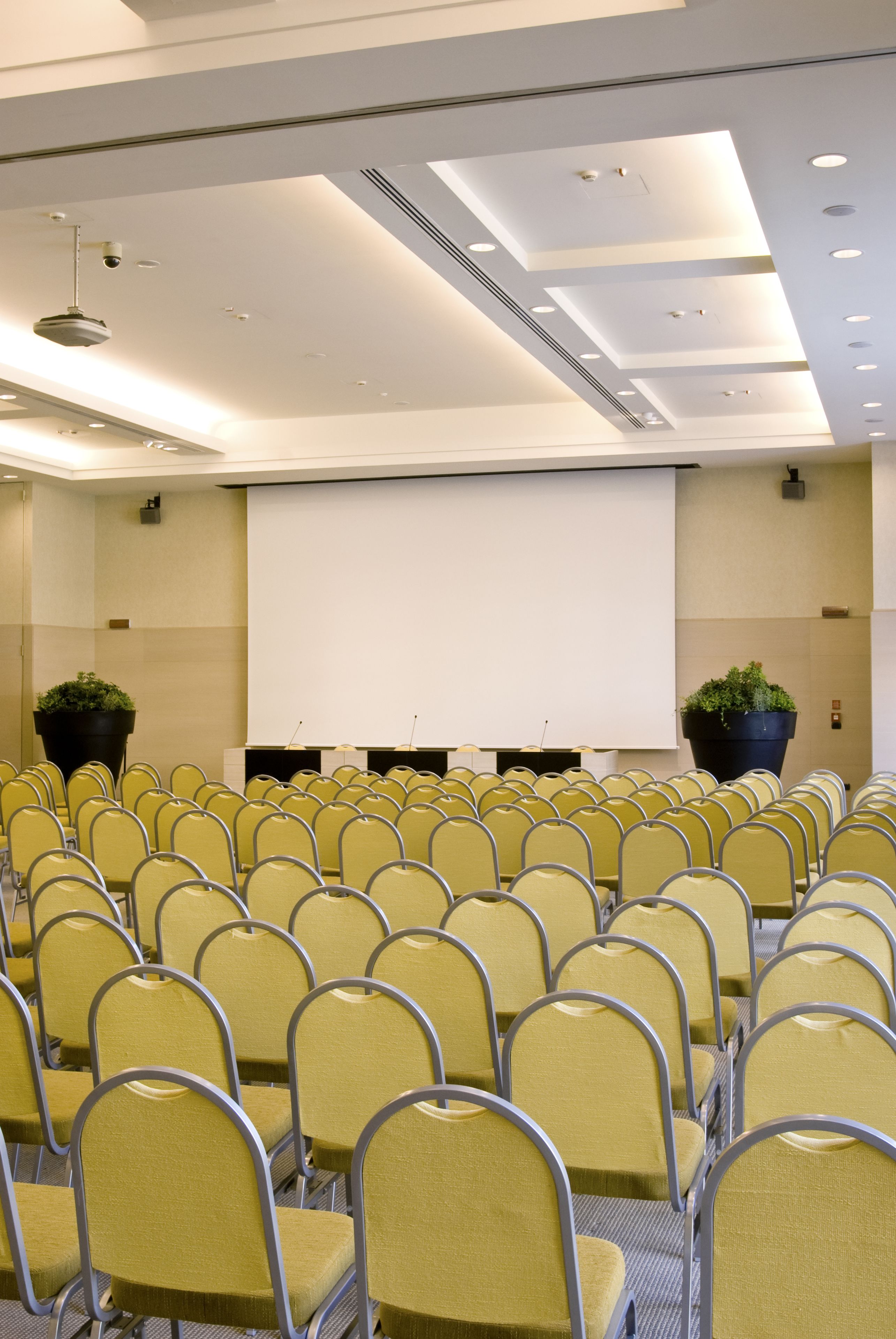 Una sala conferenze con file di sedie gialle, un grande schermo di proiezione e due piante in vaso.