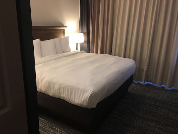 A hotel room with a large bed, a nightstand with a lamp, and a view of the outside through curtains.