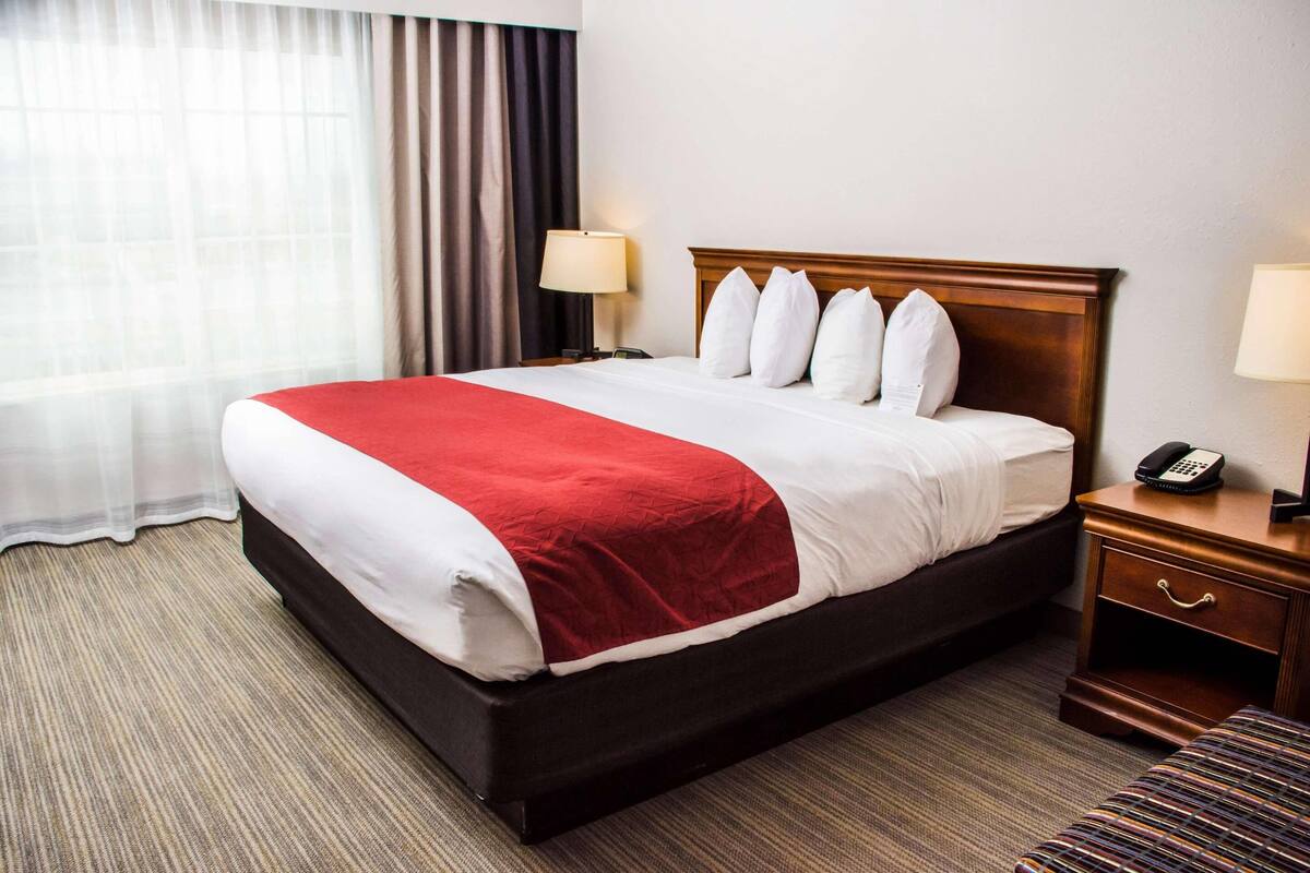 A hotel room with a large bed, a bedside table with a lamp, and a window with curtains.