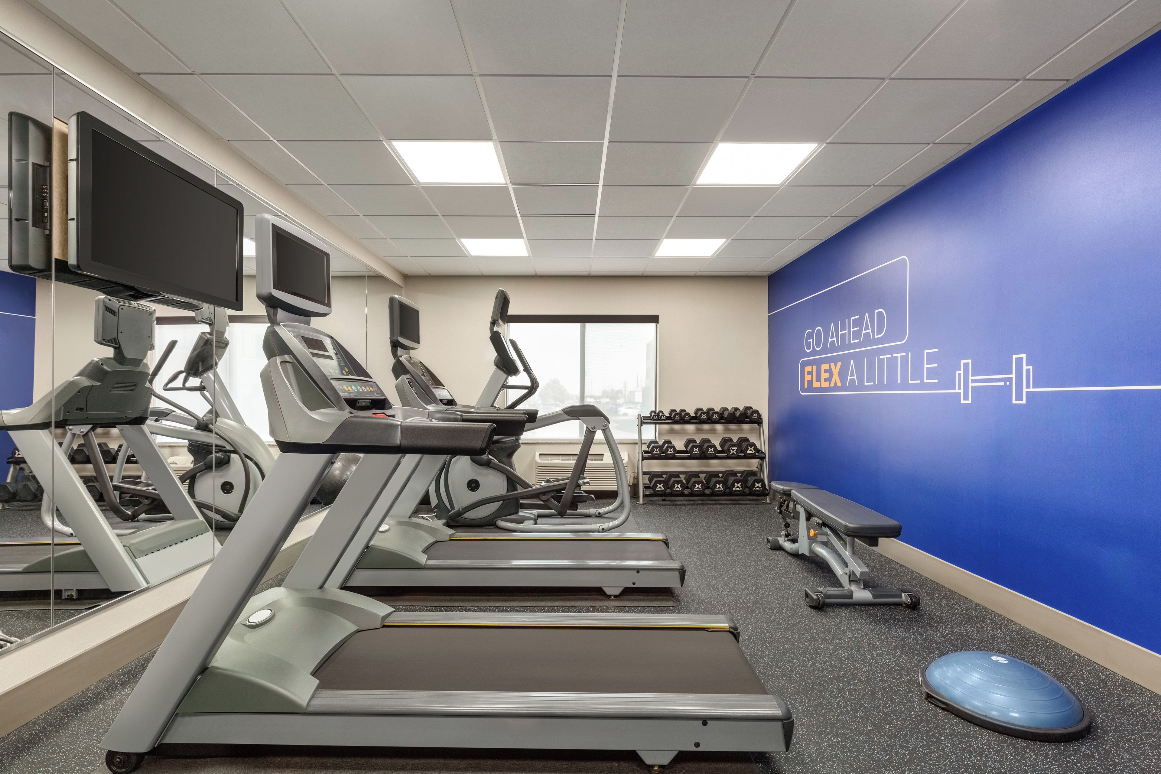 Ein Fitnessstudio mit Laufbändern, Kurzhanteln und Trainingsgeräten.