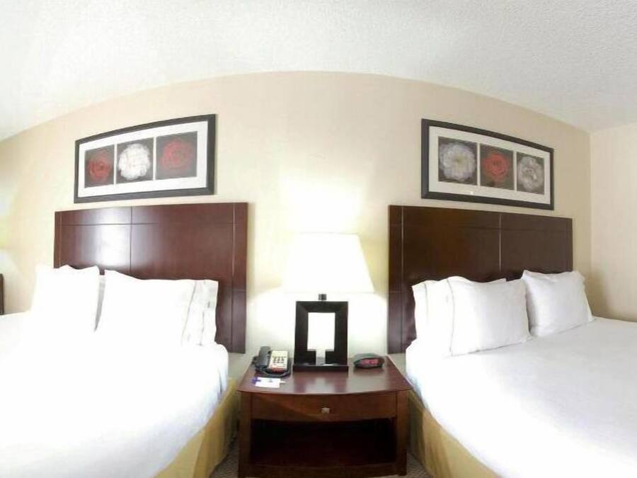 A hotel room with two beds, a nightstand with a lamp, and framed pictures above the beds.