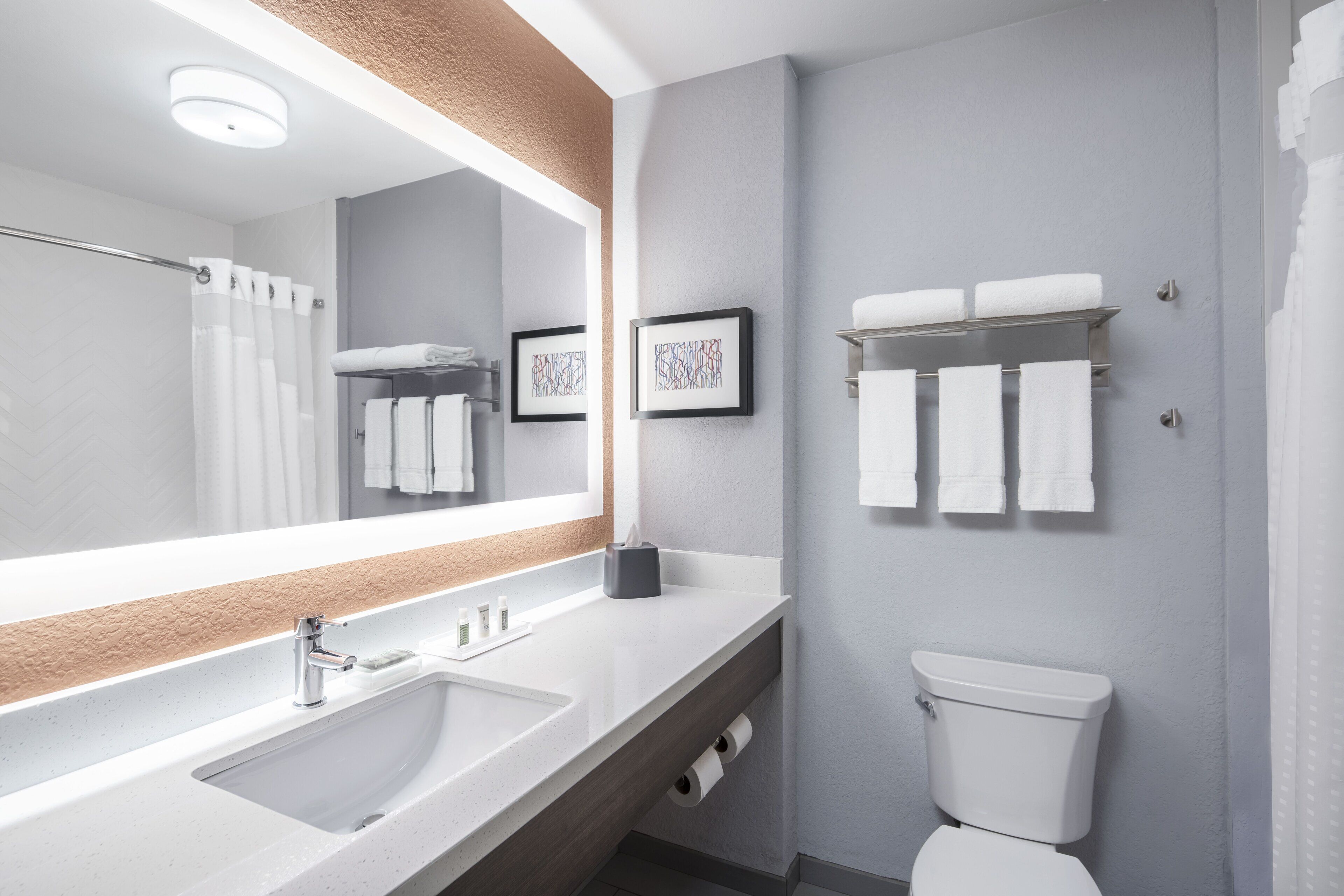 combined shower/bathtub, free toiletries, hair dryer, towels