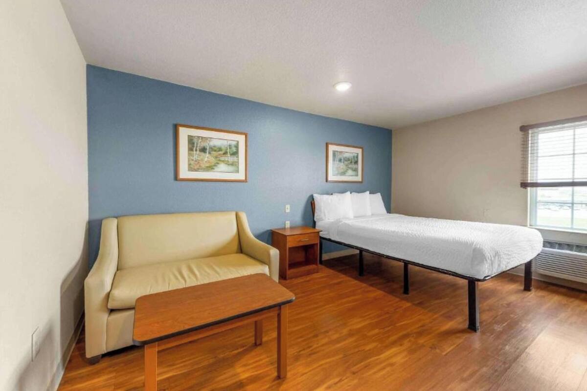 Une pièce comprenant un lit, un canapé, une petite table et deux tableaux encadrés accrochés au mur.