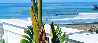 Pier View Suites