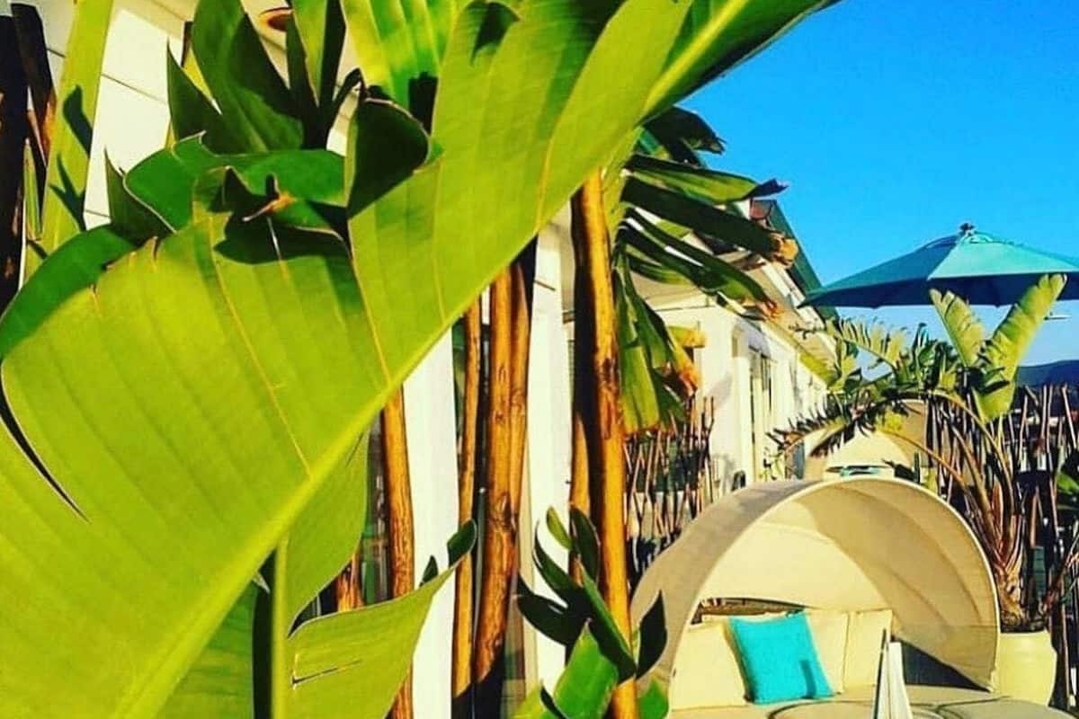 California Suite (Non-Pet-Friendly) | Premium bedding, down comforters, pillowtop beds, minibar