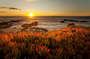 Beach nearby, beach cabanas - Pier View Suites (Cayucos)