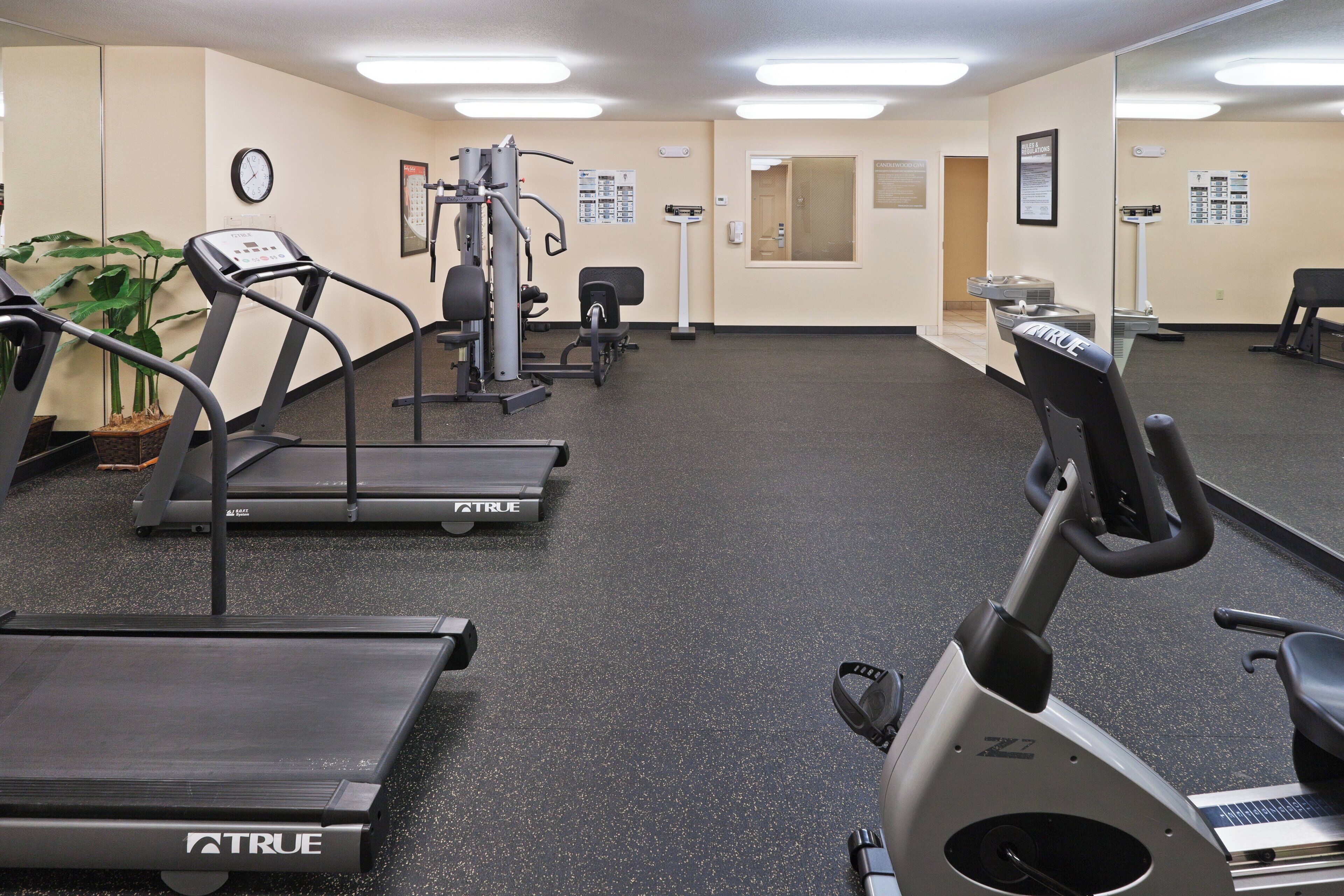 A gym with treadmills, exercise bikes, and a mirrored wall.