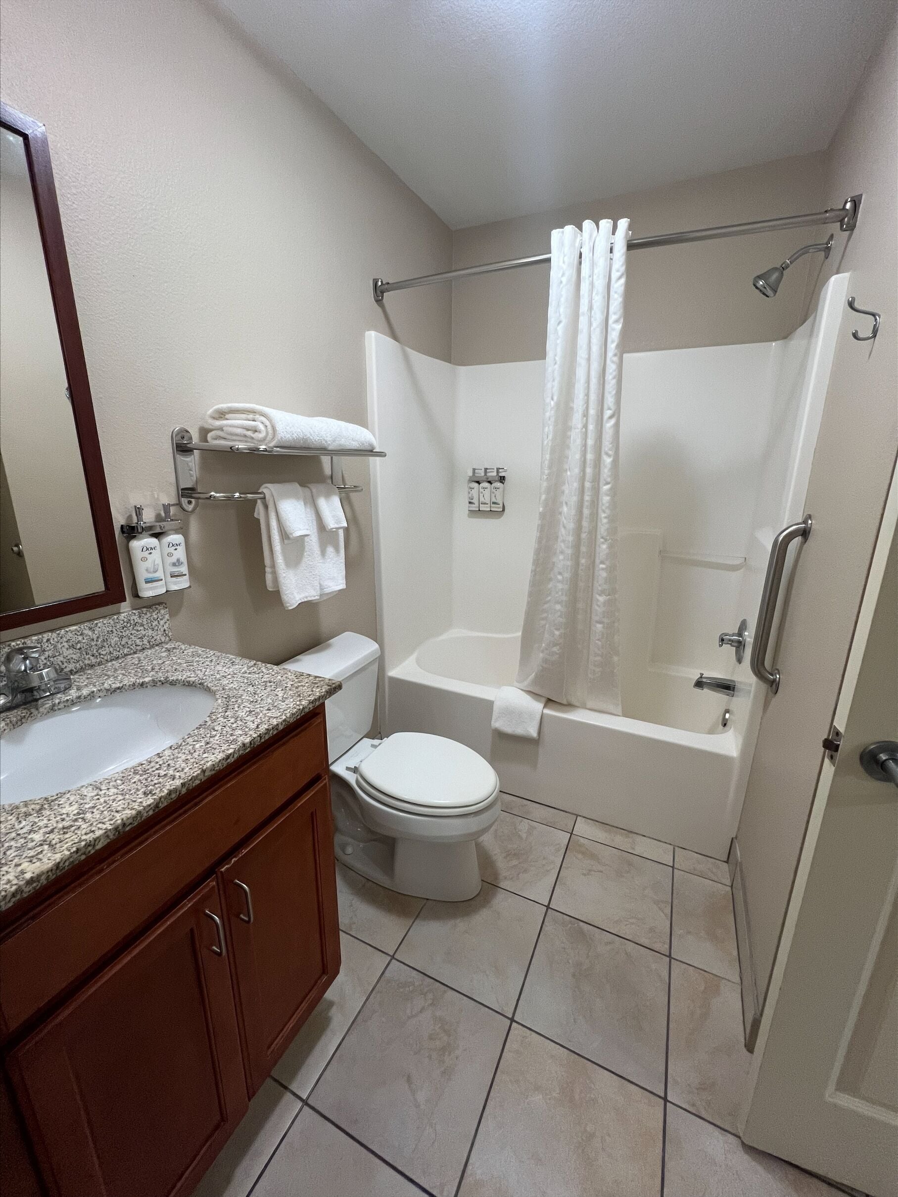 suite, 1 bedroom (1 queen bed) | bathroom | shower, hair dryer, towels