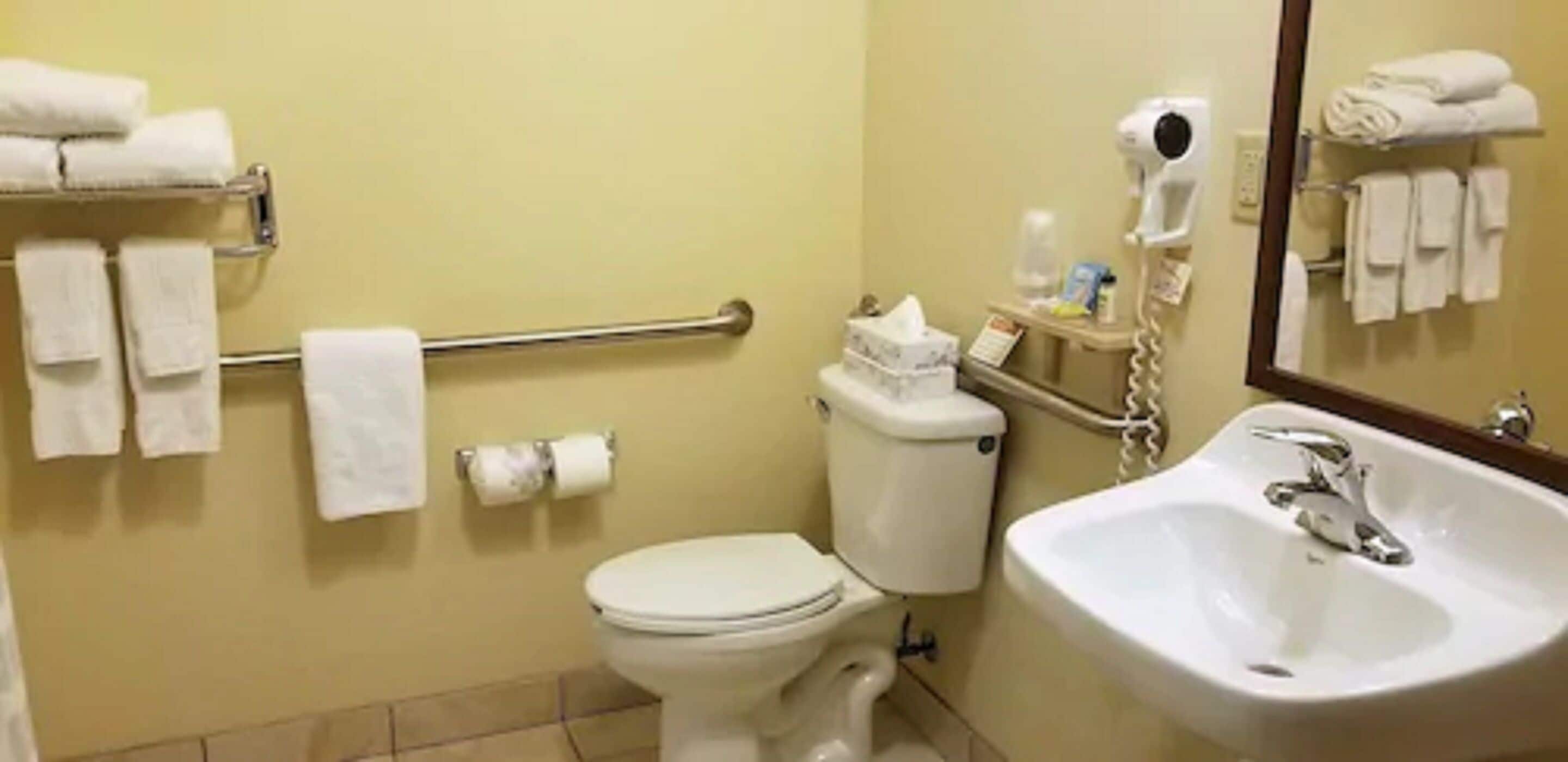 combined shower/bathtub, free toiletries, hair dryer, towels