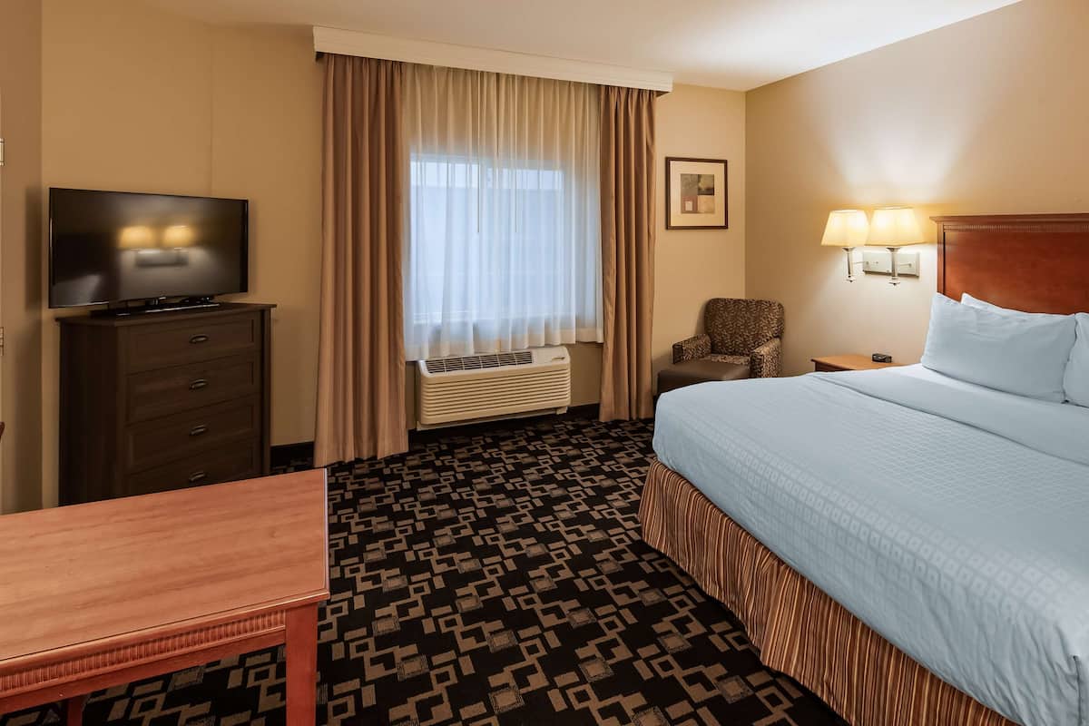 A hotel room with a bed, a TV, a desk, a chair, a lamp, and a picture on the wall.