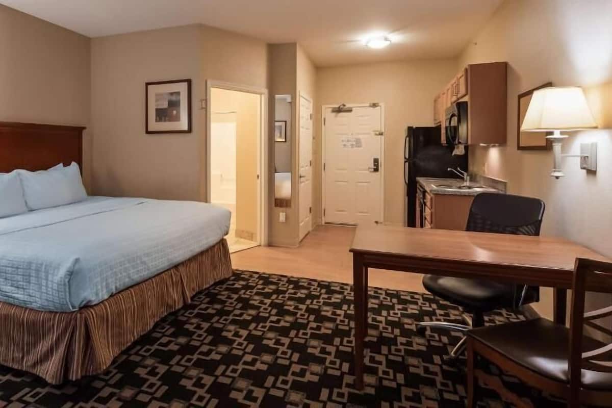 A hotel room with a bed, a desk, a chair, a kitchen area, and a patterned rug.