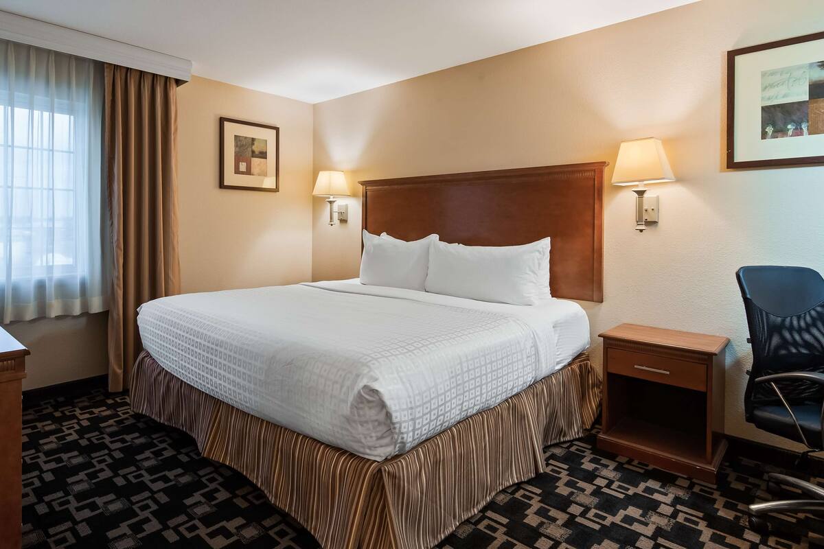 A hotel room with a large bed, a desk, a chair, and a TV.