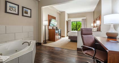 Comfort Suites Morrow - Atlanta South