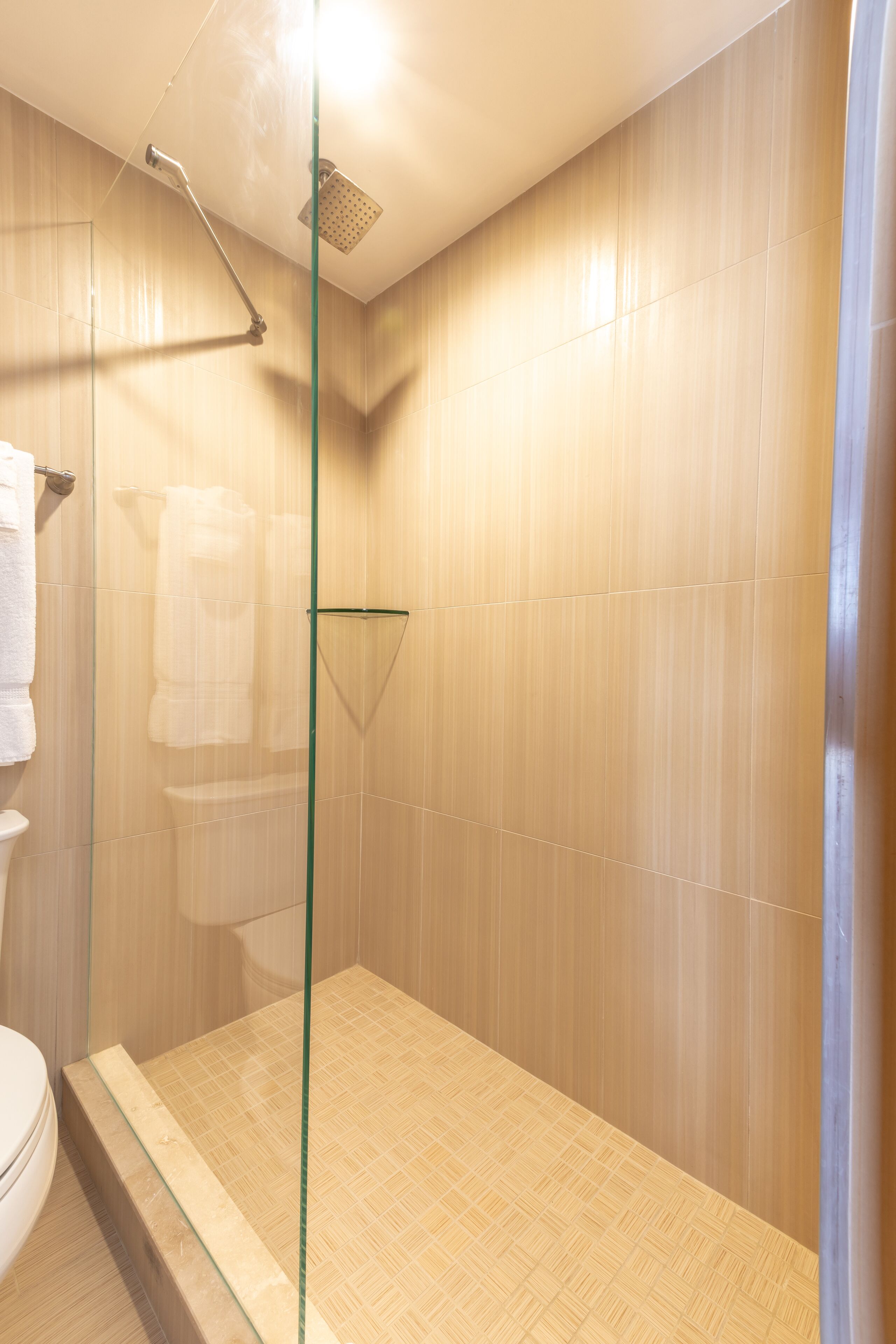 A glass-enclosed shower area with a showerhead and a towel rack.