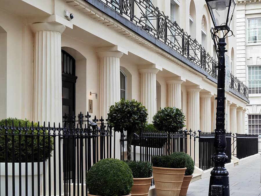 A row of white buildings with black iron railings and large potted plants.