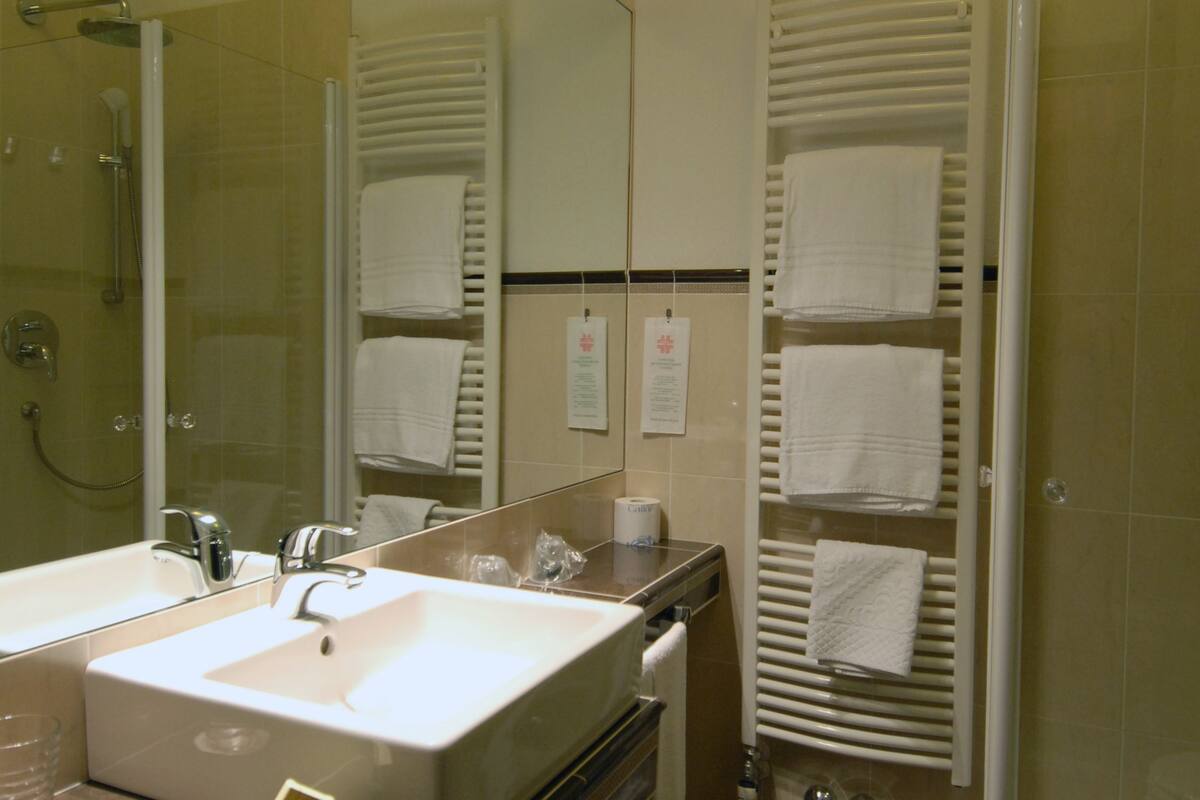 shower, free toiletries, hair dryer, bidet