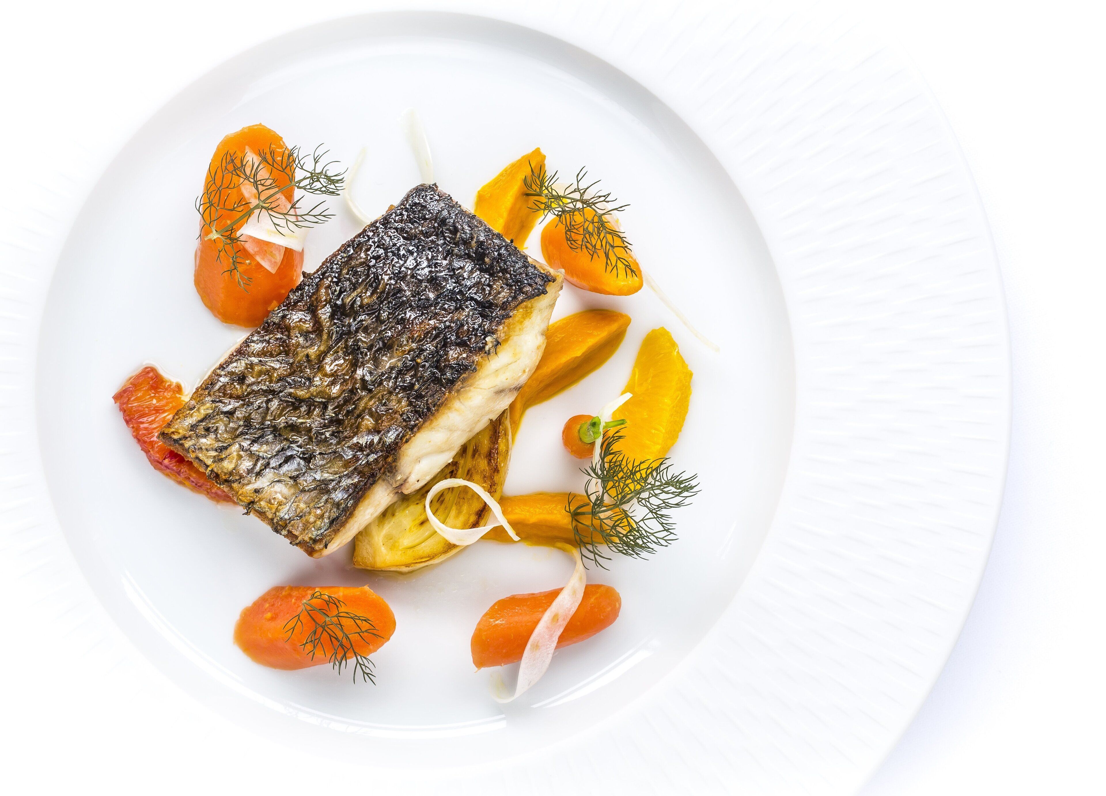Un plato blanco con pescado a la parrilla, rodajas de zanahoria y adorno de eneldo.