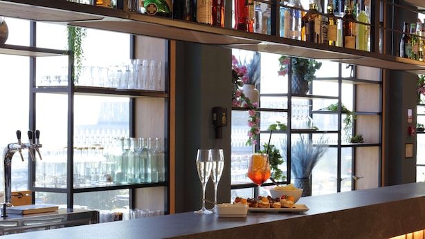 A bar area with a counter, shelves with bottles, a window with a view, and a decorative plant.