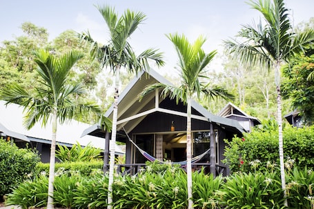 A modern building with a unique geometric roof structure, surrounded by lush greenery and palm trees.