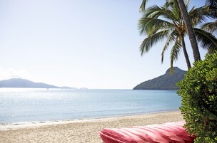 Una playa cerca