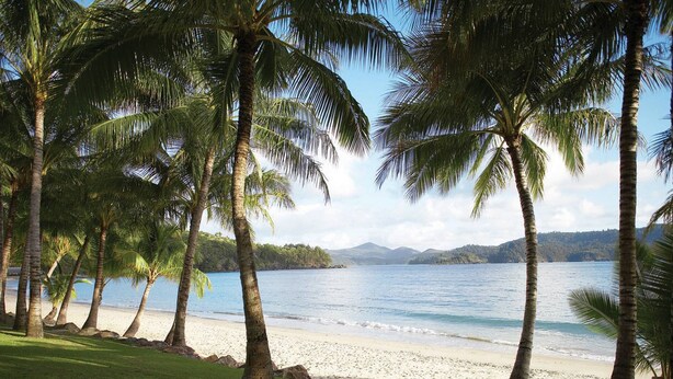 Una playa con palmeras y vista al agua.