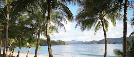 Una playa cerca