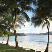 Palm Bungalows