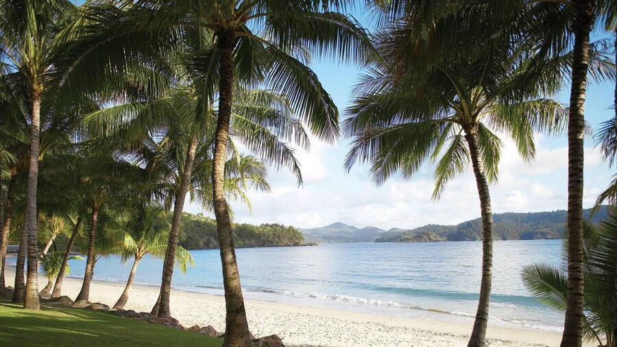 Palm Bungalows