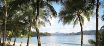 Palm Bungalows