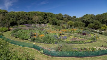 Jardín