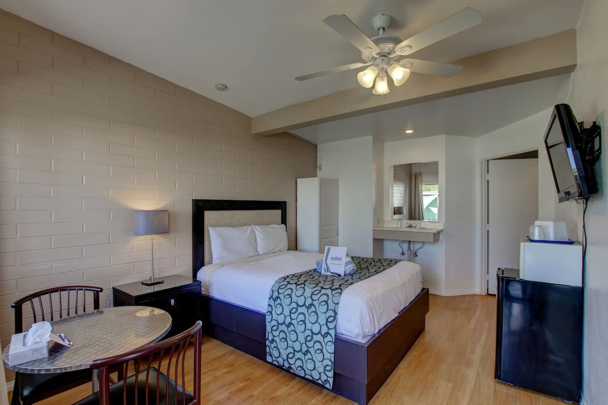 A hotel room with a bed, a desk, a chair, a TV, and a ceiling fan.