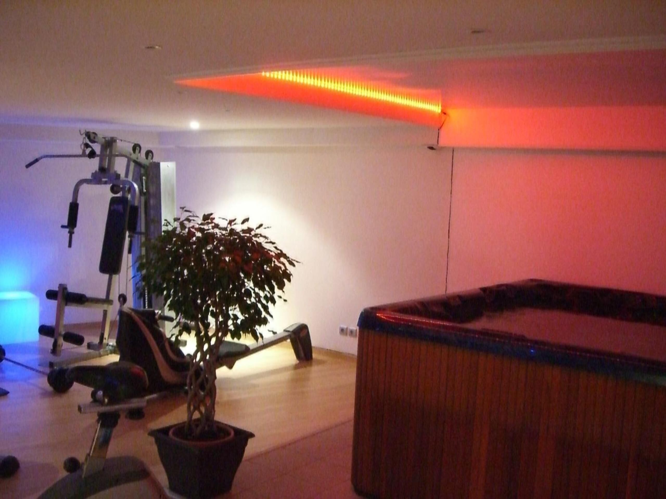A gym with exercise equipment, a potted plant, and a hot tub.